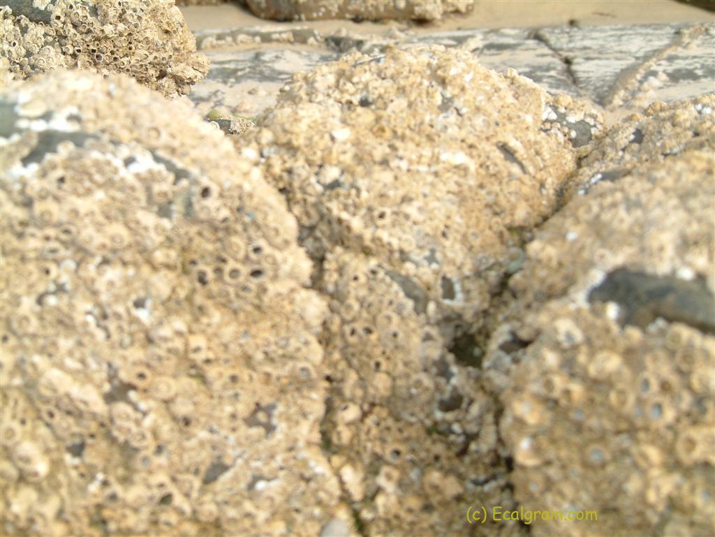 Photo du 25/08/2004 à 11:37:34